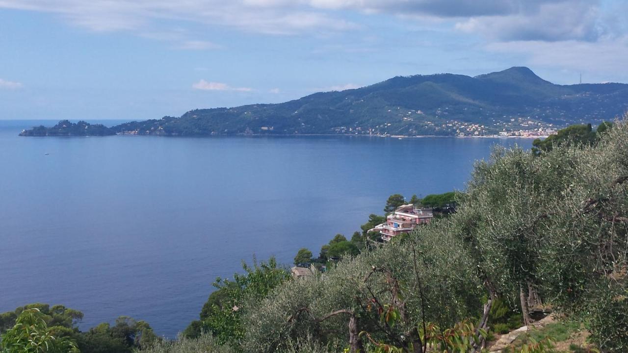 Mare E Vista Portofino - Sea And Portofino View โซอาลยี ภายนอก รูปภาพ