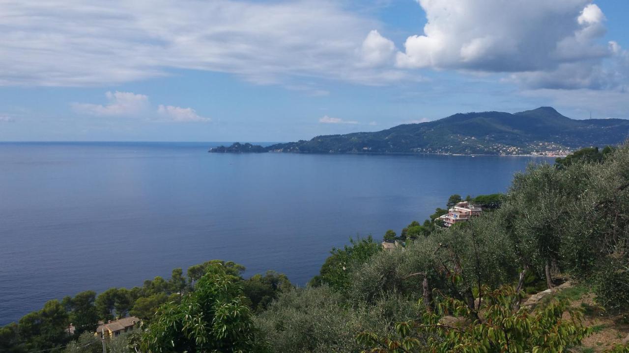 Mare E Vista Portofino - Sea And Portofino View โซอาลยี ภายนอก รูปภาพ